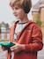 Hooded Sweatshirt with Print & Zip, for Boys rust 
