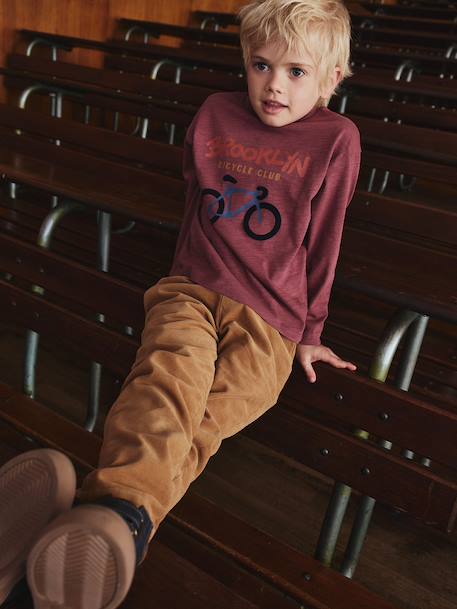 Flocked Long-Sleeved T-Shirt for Boys dusky pink+sage green 