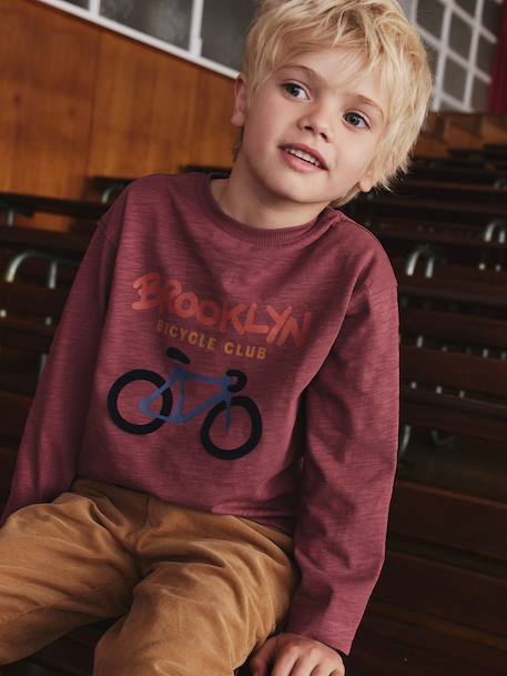 Flocked Long-Sleeved T-Shirt for Boys dusky pink+sage green 