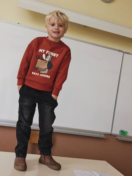 Printed Dog Sweatshirt for Boys striped white+tomato red 