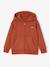 Hooded Sweatshirt with Print & Zip, for Boys rust 