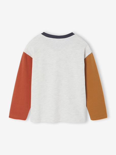 Long-Sleeved Colourblock T-Shirt for Boys multicoloured 