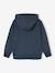 Hooded Sweatshirt with Skate Print anthracite 