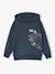 Hooded Sweatshirt with Skate Print anthracite 