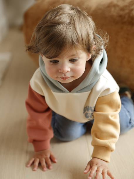 Hooded sweatshirt + jeans set for babies multicoloured 