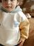 Hooded sweatshirt + jeans set for babies multicoloured 