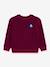 PETIT BATEAU children's sweatshirt red 