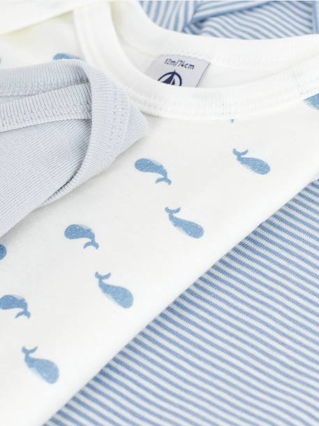Pack of 3 Long-Sleeved Whale Bodysuits for Babies, PETIT BATEAU white 
