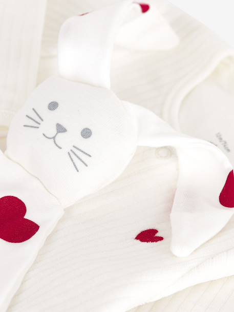 Newborn gift set in PETIT BATEAU velvet white 