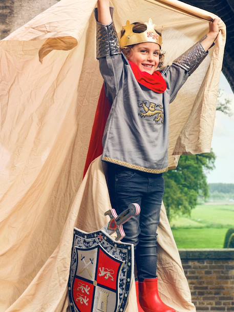 King Arthur Armour, SOUZA silver 