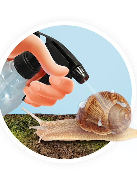 Snail House red 