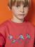 Skateboard Sweatshirt for Boys red 