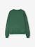 Sweatshirt with New York design for girls JONEN English green 