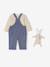 Set for Newborns: Long-Sleeved T-Shirt + Dungarees + Comforter / Soft Toy grey blue 