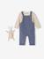 Set for Newborns: Long-Sleeved T-Shirt + Dungarees + Comforter / Soft Toy grey blue 