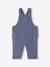 Set for Newborns: Long-Sleeved T-Shirt + Dungarees + Comforter / Soft Toy grey blue 