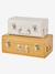 Set of 2 Nesting Metal Trunks cinnamon+denim blue+GREEN MEDIUM 2 COLOR/MULTICOLR+nude pink 