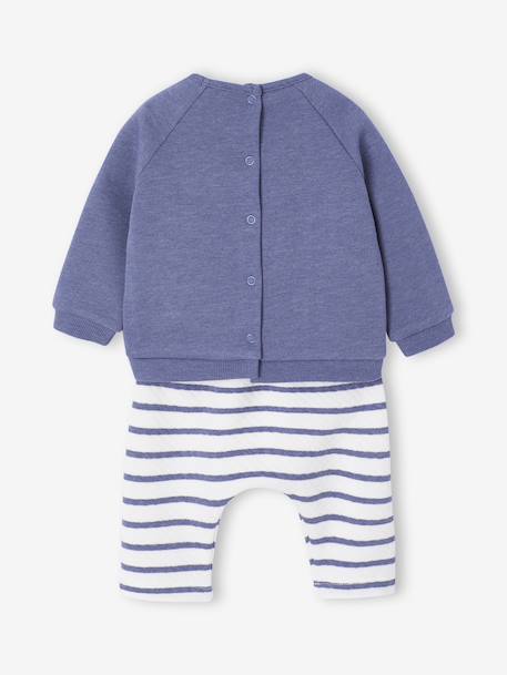 Sweatshirt & Trousers Combo for Babies 6308+marl blue+pale pink 