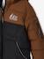 Two-tone Hooded Jacket with Recycled Polyester Padding, for Boys brown+sage green 