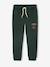 Boys' Harry Potter® sweatshirt + trouser sportswear set in fleece fir green 