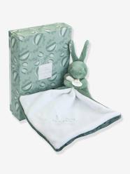 Cuddly rabbit comforter - DOUDOU & COMPAGNIE -Cuddly rabbit comforter - DOUDOU & COMPAGNIE