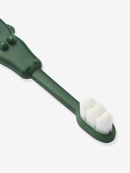 Fabio LIEWOOD toothbrush set green+rose 