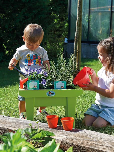 Planter with Accessories, ECOIFFIER multicoloured 