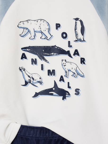 Pack of 2 'Polar Animal' Velour Pyjamas for Boys sky blue 