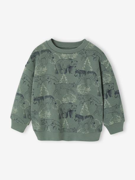Printed Sweatshirt for Boys marl beige+medium blue+sage green 