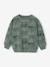 Printed Sweatshirt for Boys marl beige+medium blue+sage green 