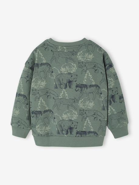 Printed Sweatshirt for Boys marl beige+medium blue+sage green 