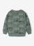 Printed Sweatshirt for Boys marl beige+medium blue+sage green 