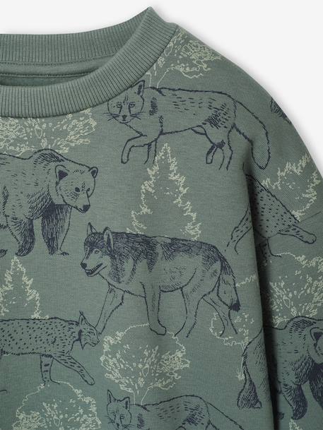 Printed Sweatshirt for Boys marl beige+medium blue+sage green 
