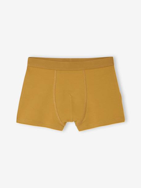 Pack of 5 Plain & Striped Boxer Shorts for Boys multicoloured 