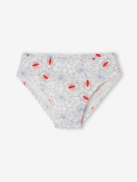 Pack of 5 Spider-Man Briefs for Boys chambray blue 