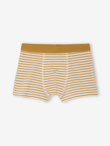 Pack of 5 Plain & Striped Boxer Shorts for Boys multicoloured 