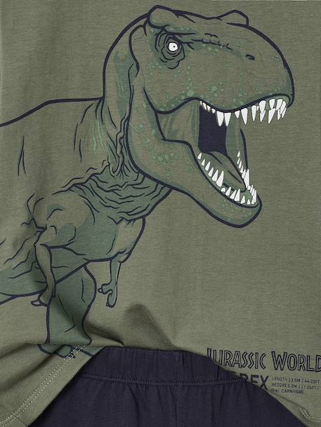 Two-tone Jurassic World® pyjamas for boys lichen 