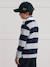 Striped Rugby Polo Shirt in Organic Cotton for Boys, CYRILLUS green+grey 