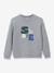 Boys' CYRILLUS Skate sweatshirt grey 
