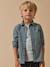 Boy's gingham flannel shirt CYRILLUS green 