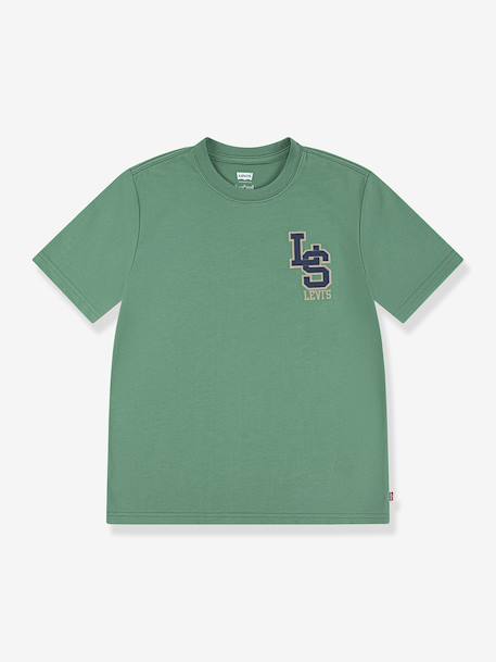 Streamline Monogram T-Shirt, LEVI'S® green 