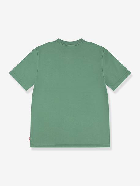 Streamline Monogram T-Shirt, LEVI'S® green 