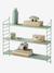 Metal Wall Shelf green+rose 
