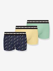 Pack of 3 boys' boxers with gameboy pattern Ecodim