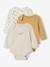 Pack of 3 Bodysuits with Cut-Away Shoulders, for Newborns marl beige 