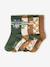 Pack of 5 pairs of PAT PATROUILLE® ankle socks camel 