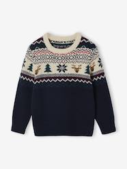 Boys-Cardigans, Jumpers & Sweatshirts-Jumpers-Jumper for Boys