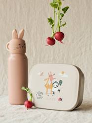 Nursery-Mealtime-Lunch box Arthur - LIEWOOD 