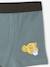 Pack of 5 Disney® Lion King Boxers lichen 