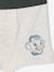 Pack of 5 Disney® Lion King Boxers lichen 